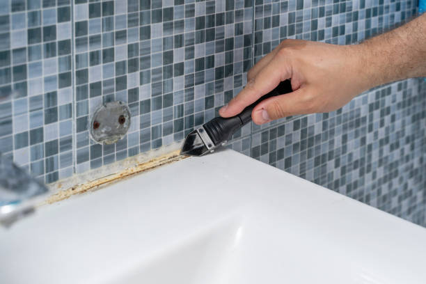 Best Mold Removal Process  in Surfside Beach, SC